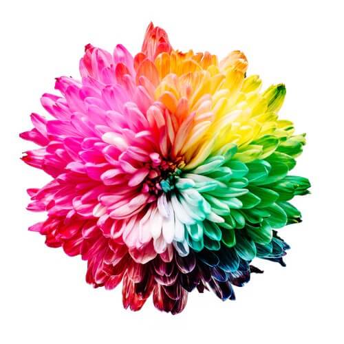 Влияние цветов на эмоциональное состояние человека как правильно выбрать цветовую палитру